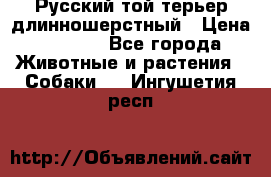 Русский той-терьер длинношерстный › Цена ­ 7 000 - Все города Животные и растения » Собаки   . Ингушетия респ.